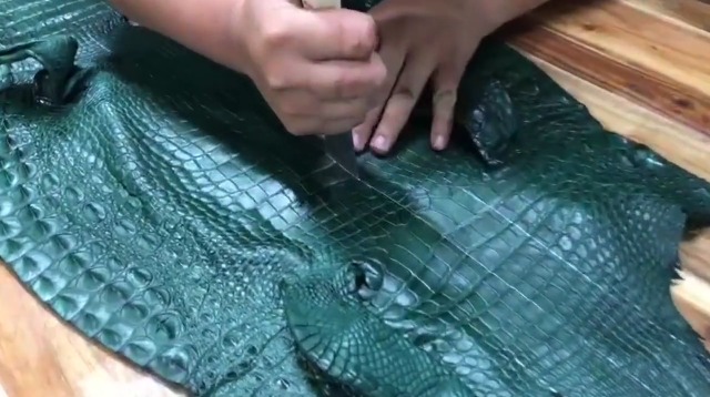 Amazon | [Genuine Crocodile leather] グリーン 財布 二つ折り